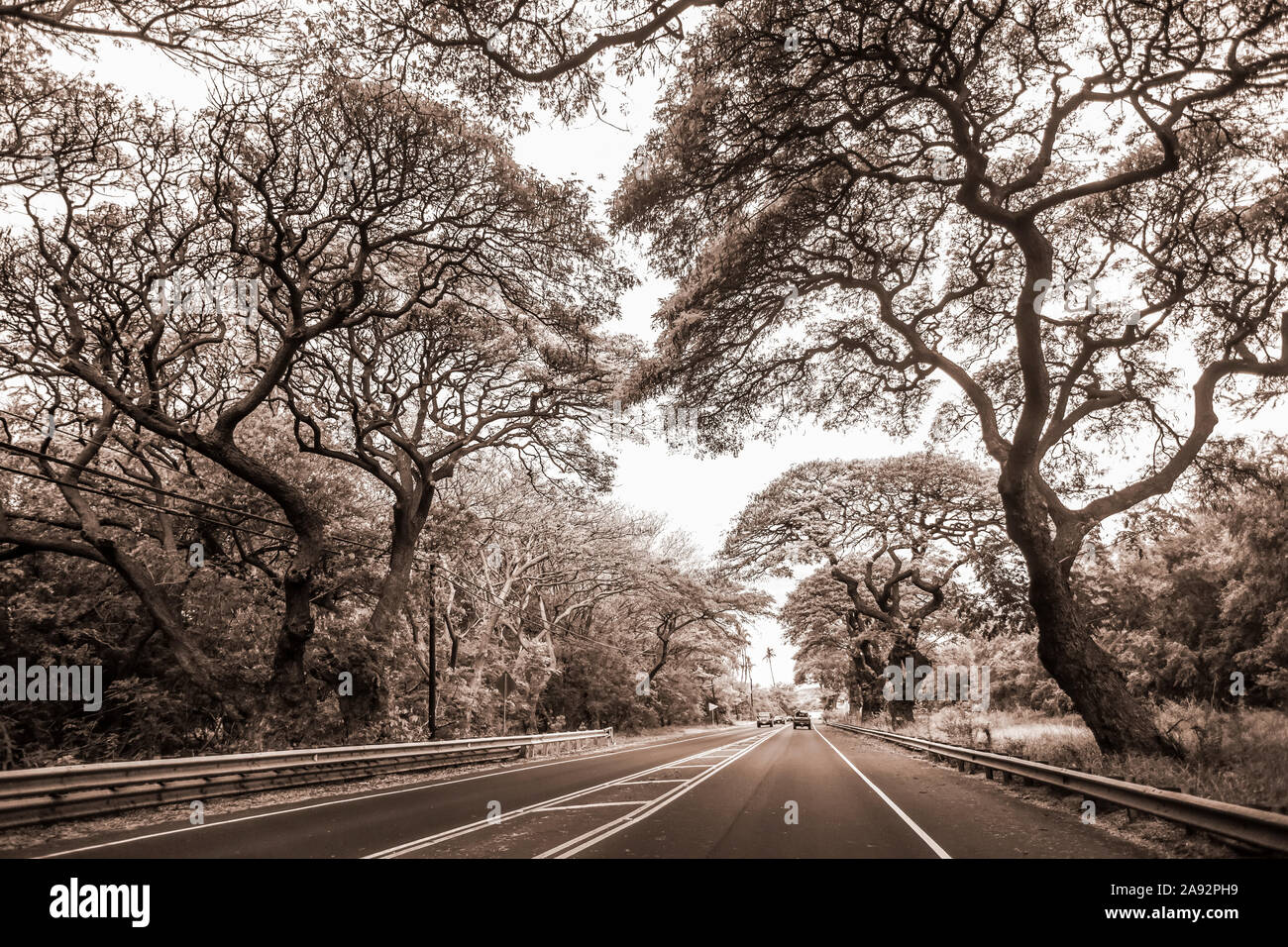 Straße auf dem Weg nach Kaplua von Kihei auf der Insel Maui; Maui, Hawaii, Vereinigte Staaten von Amerika Stockfoto