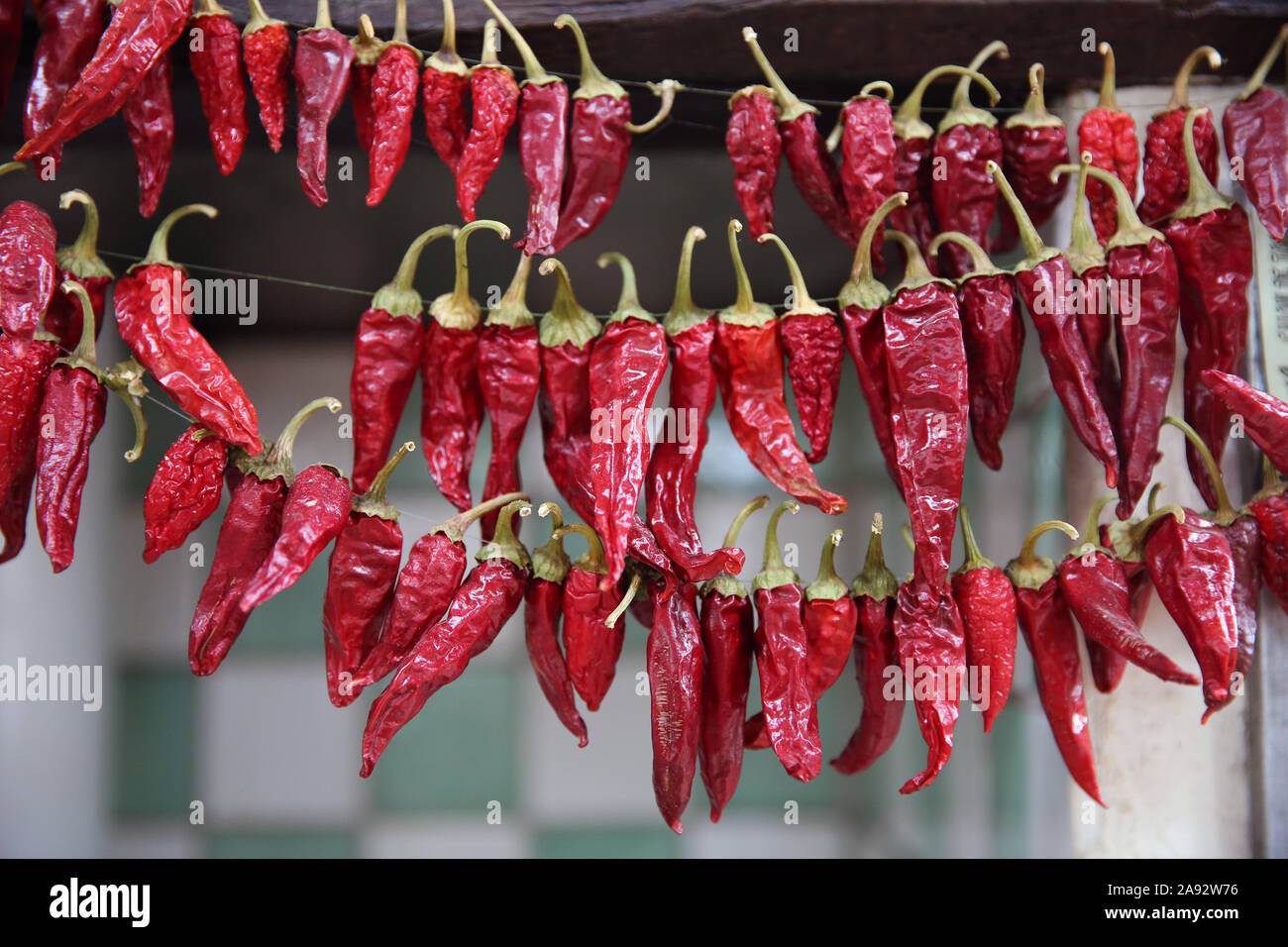 Rote Chilis hängen bis zu trocknen. Stockfoto