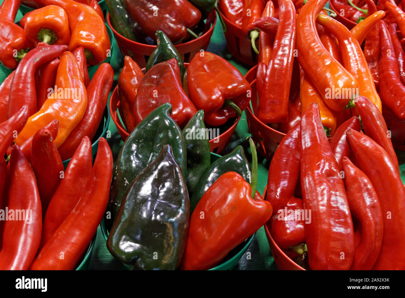 Nahaufnahme des Grünen poblano Paprika und rote Paprika zum Verkauf an der Jean Talon, Montreal, Quebec, Kanada Stockfoto