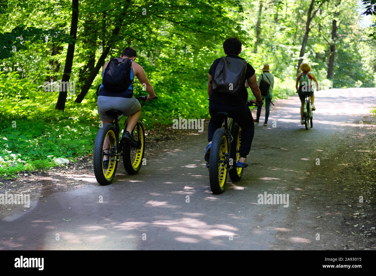 Fat Radfahren Reiten in Park an einem sonnigen Tag unter vielen grünen Bäumen. Fat Bikes und gesunden Lebensstil. Sport und aktiv leben Konzept. Stockfoto