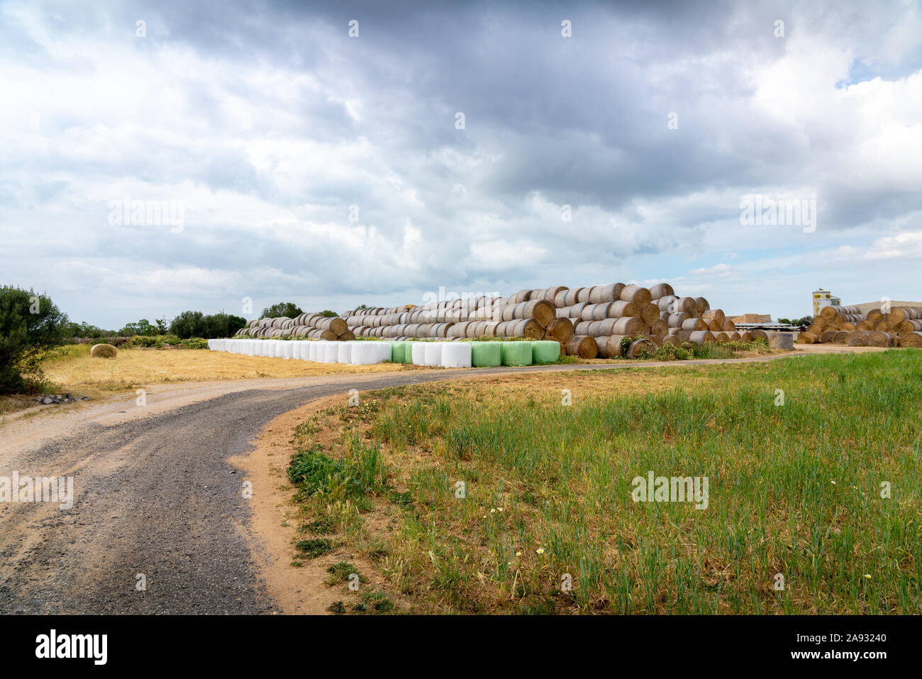 Landschaft auf Mallorca, eine unbefestigte Straße und eine Menge Heuballen auf dem Hintergrund, an einem stürmischen Tag. Es Pla de Mallorca Region. Stockfoto