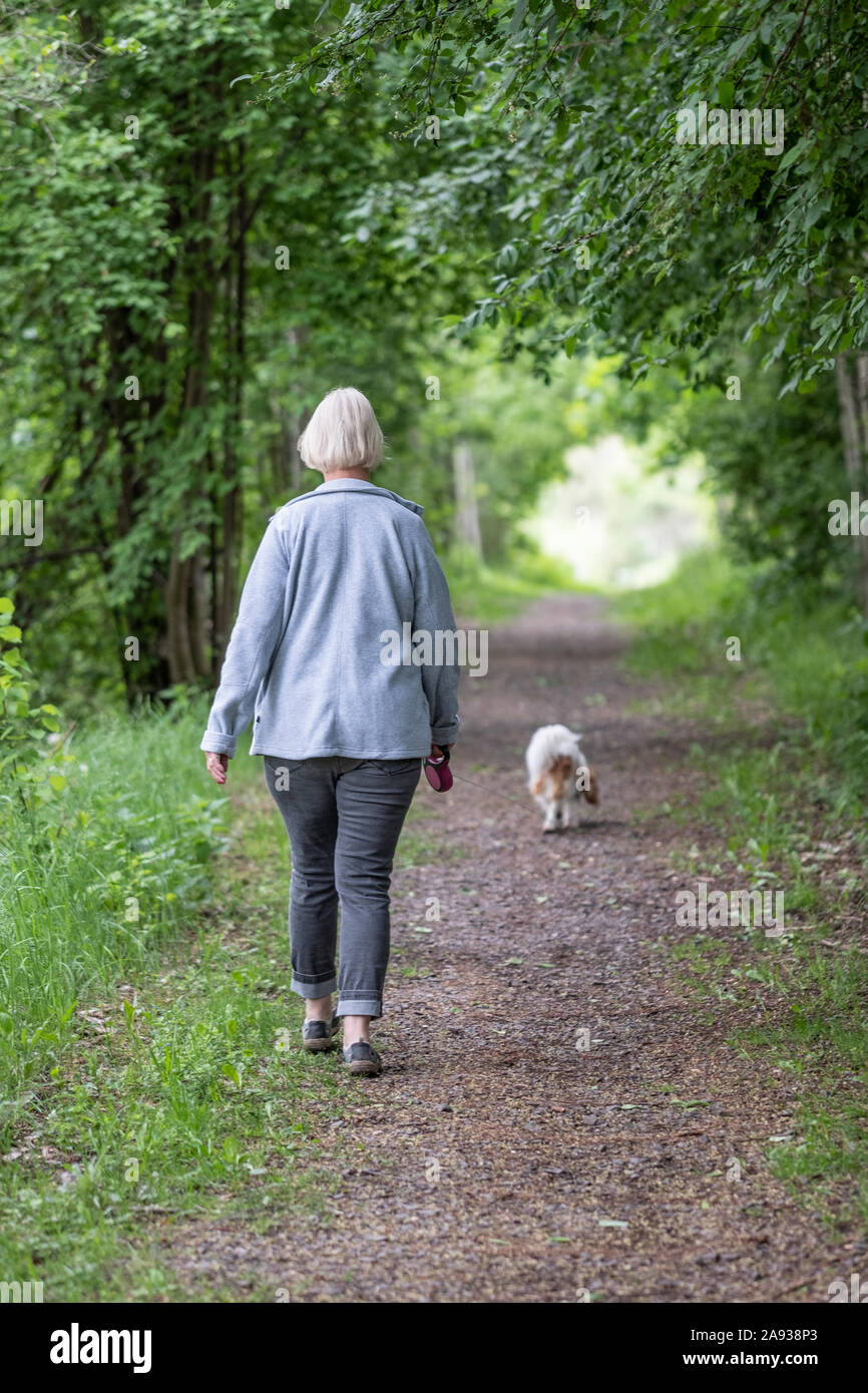 Frau zu Fuß Hund Stockfoto