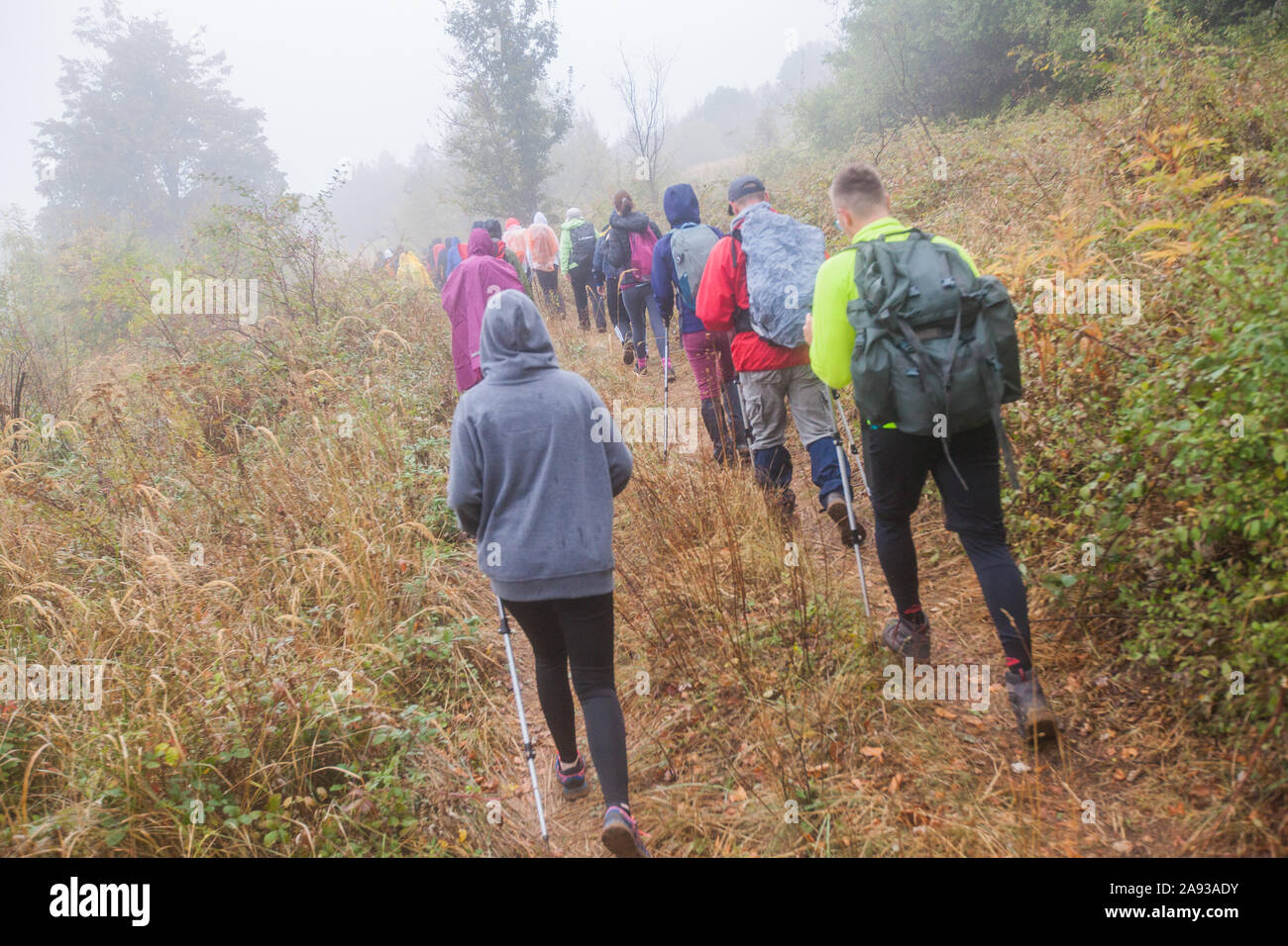 Gruppe aktiver Menschen wandern auf den regnerischen Herbst Tag tragen Sie eine Regenjacke. Wirkliche unkenntlich Wanderer, Rückspiegel, bewölkter Himmel im Hintergrund. Stockfoto
