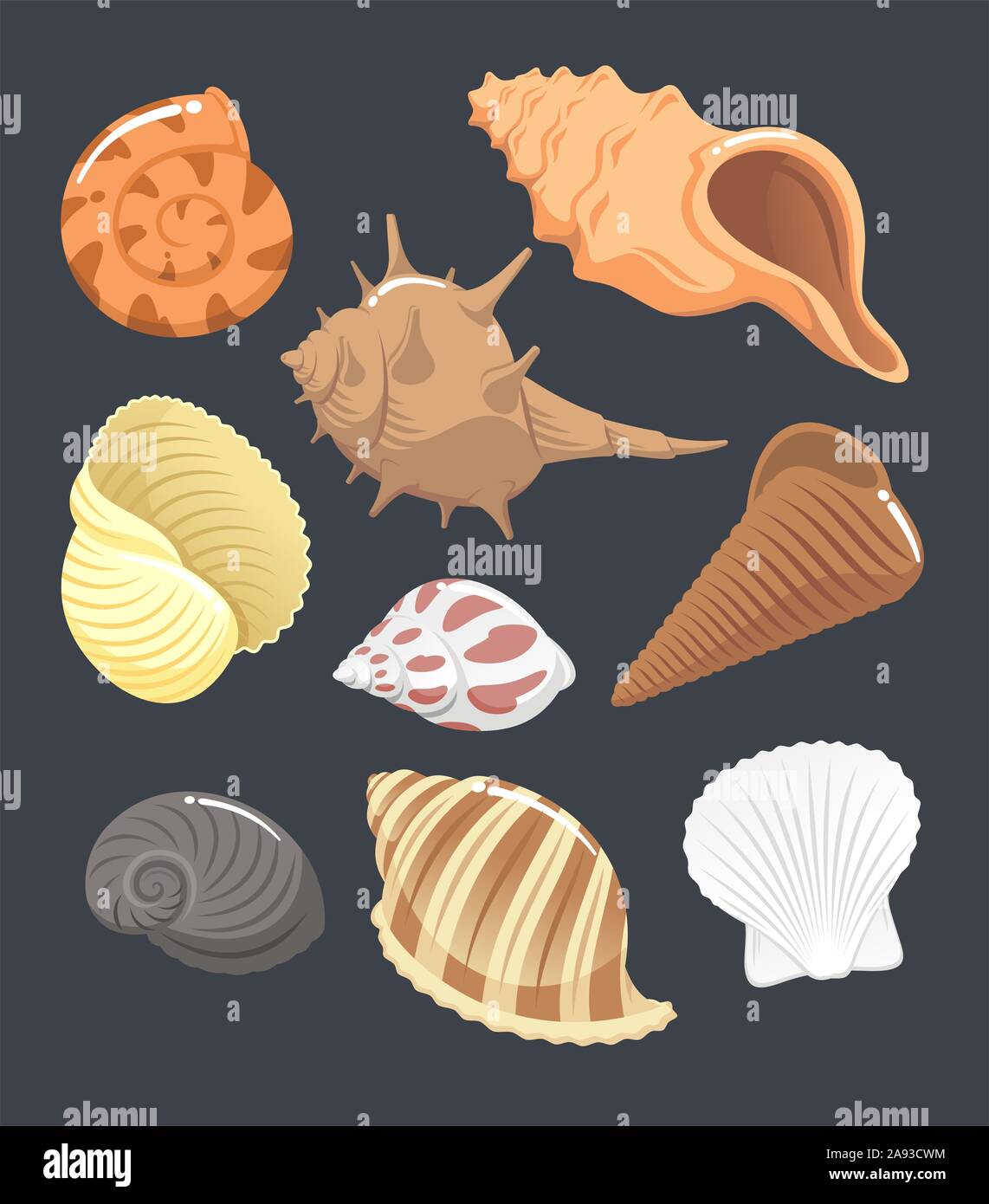 Seashell set Vektor Cartoon Stock Vektor