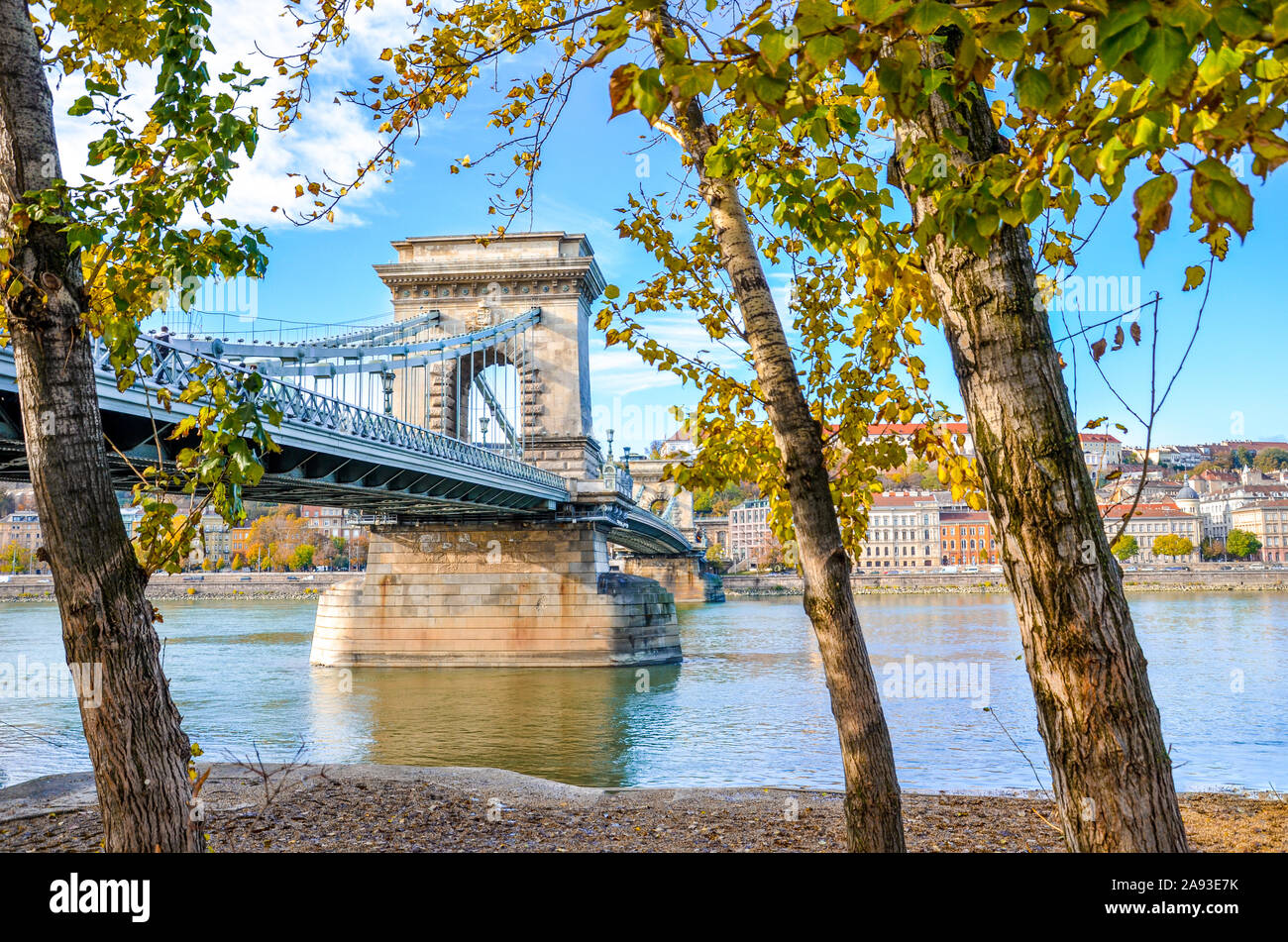 Erstaunlich Széchenyi Kettenbrücke über die Donau in Budapest, Ungarn mit Herbst Bäume am Ufer. Kette Brücke zwischen Buda und Pest. Touristische Sehenswürdigkeiten. Die ungarische Hauptstadt. Stockfoto