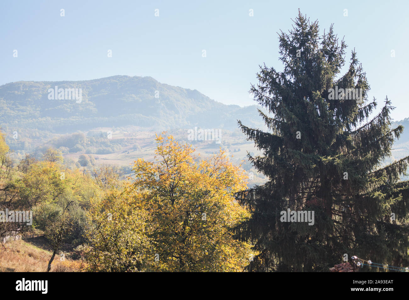 Schöne Natur Landschaft. Bäume auf dem Hügel am sonnigen Herbsttag. Blauen Himmel im Hintergrund. Meisterwerke der Natur von Serbien. Stockfoto