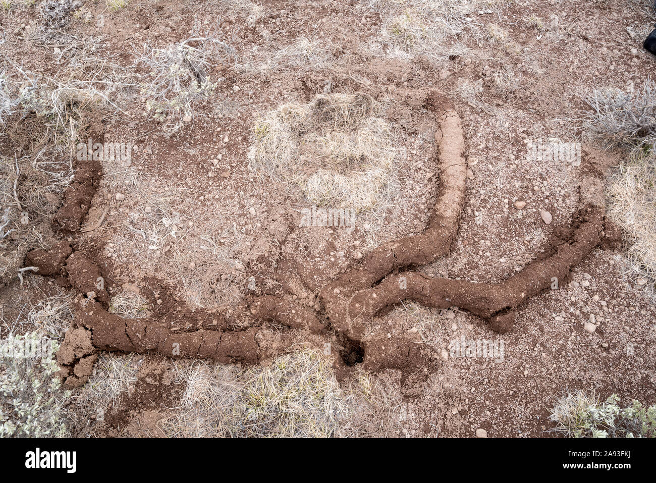 Gopher Tunnel, Steens Mountain, Oregon. Stockfoto