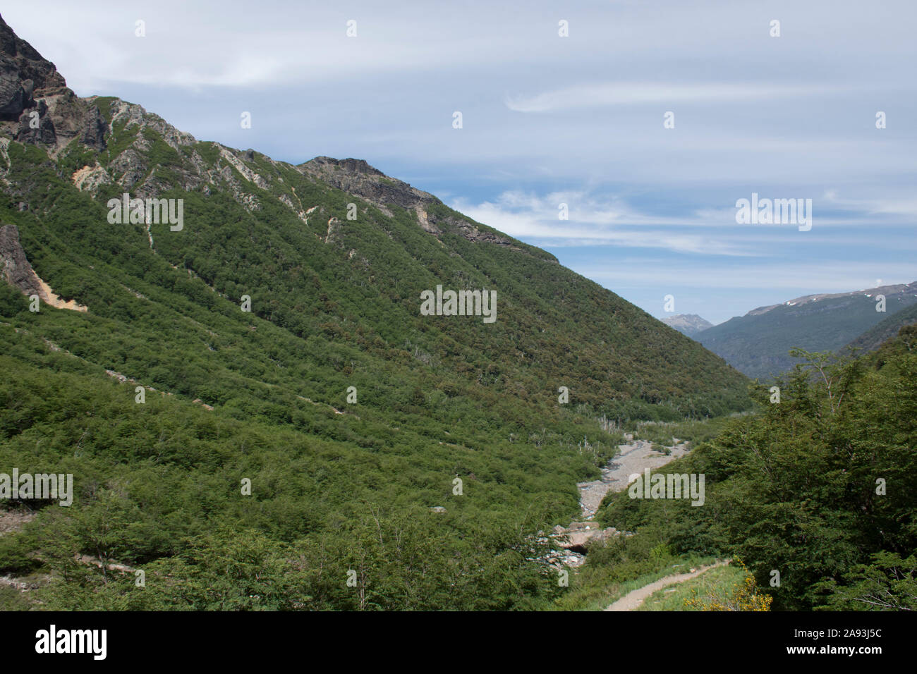 Querformat grünen Wald Tal der Pampa Linda in Bariloche, Patagonia, Argentinien Stockfoto