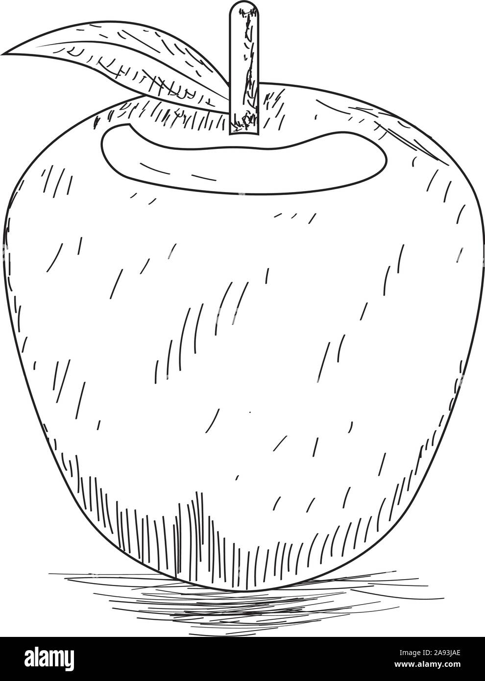 Skizze eines Apfels. Obst Skizze-Vector Illustration Stock-Vektorgrafik