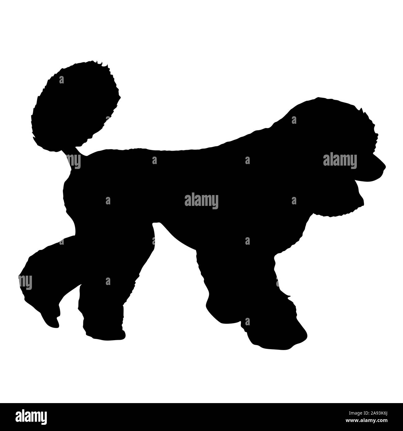 Pudel Hund Silhouette auf einem weißen Hintergrund. Stockfoto