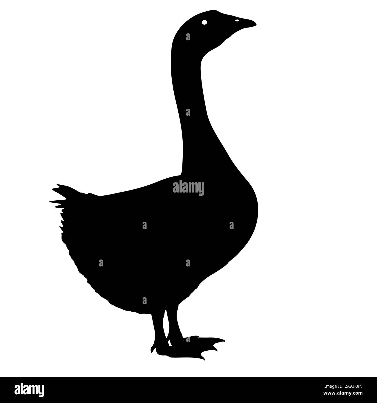 Silhouette vogel gans auf einem weißen Hintergrund. Stockfoto