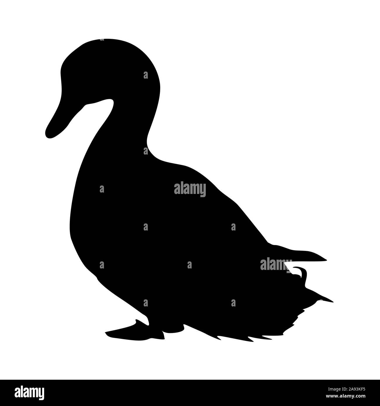 Silhouette vogel gans auf einem weißen Hintergrund. Stockfoto