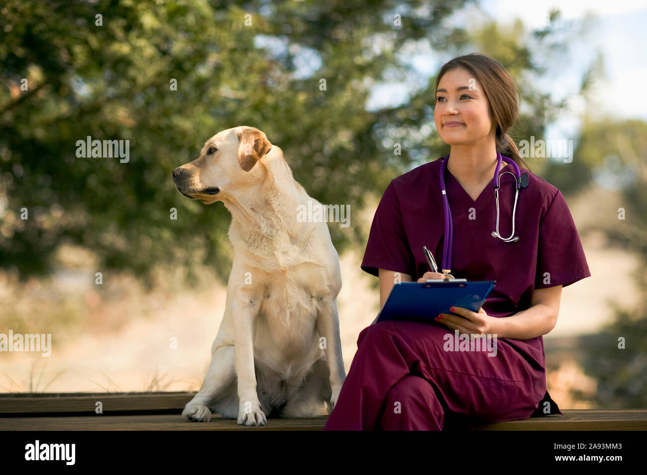 Lächelnde junge Krankenschwester sitzt zufrieden im sonnigen Garten mit Ein freundlicher Hund Stockfoto