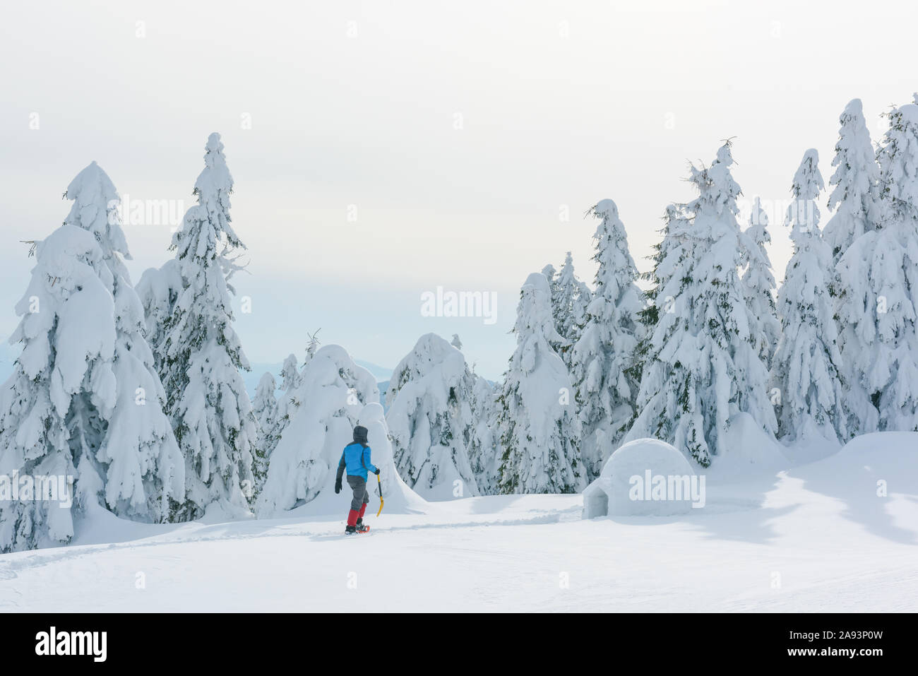 Mann in der blauen Jacke Gebäude Iglu in den hohen Bergen. Fantastische Winterlandschaft Stockfoto