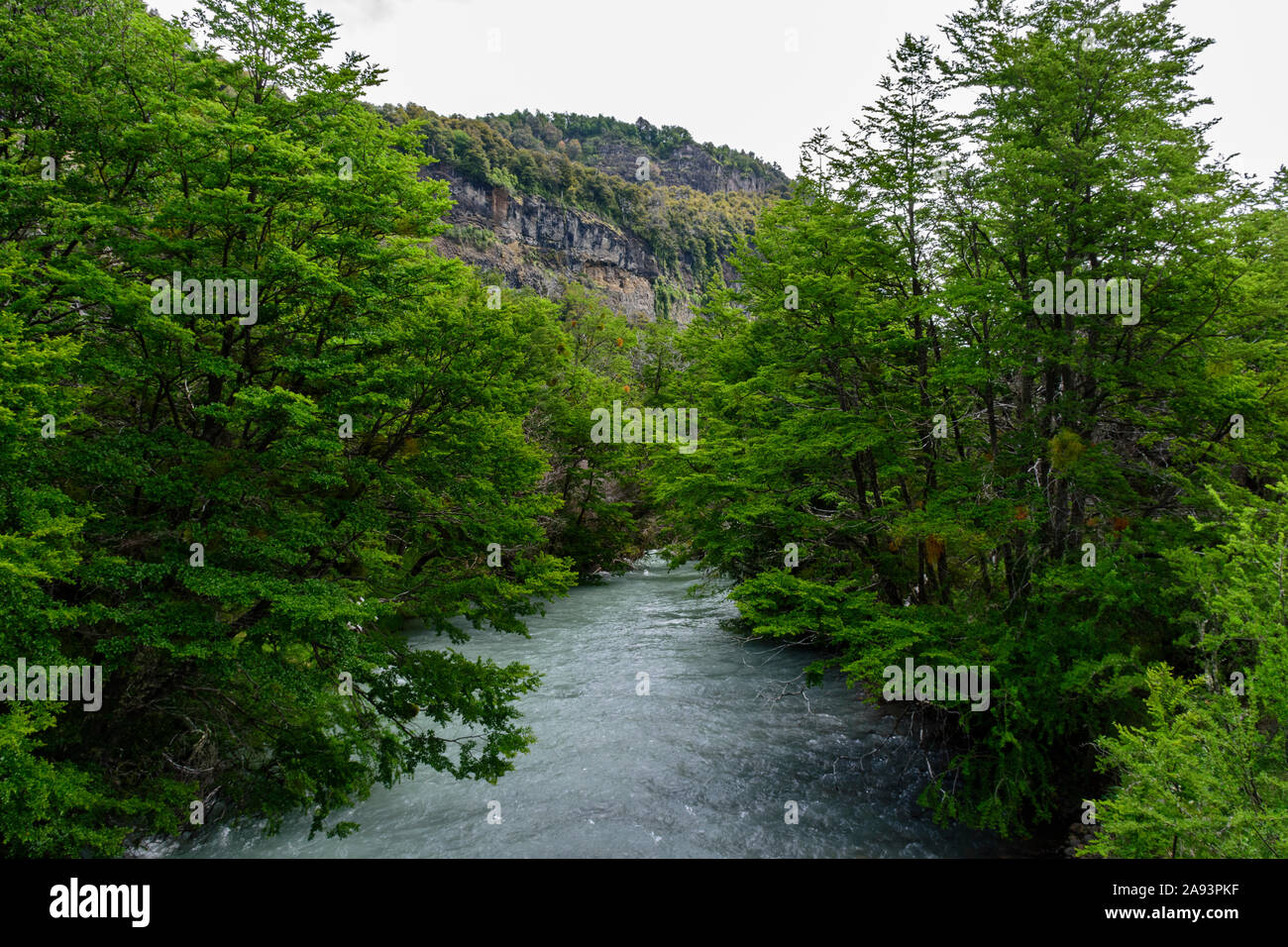 Querformat von Manso Fluss am Berg Tronador Basis in Pampa Linda, Nahuel Huapi Nationalpark, Patagonien, Argentinien Stockfoto