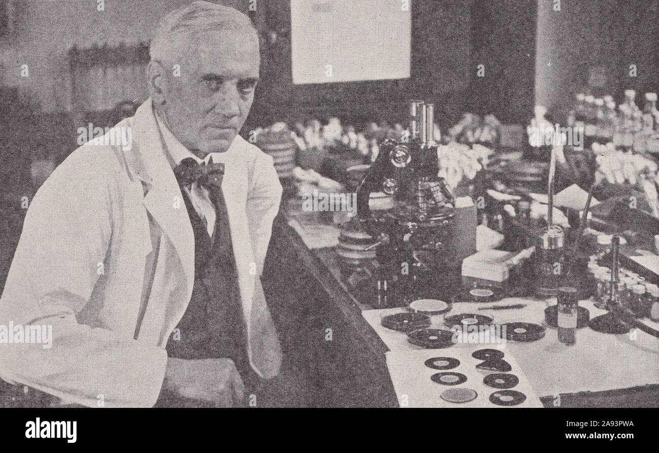 Sir Alexander Fleming, der Entdecker des Penicillins, bei der Arbeit in seinem Labor in St. Mary's Hospital, Paddington, London 1930. Stockfoto