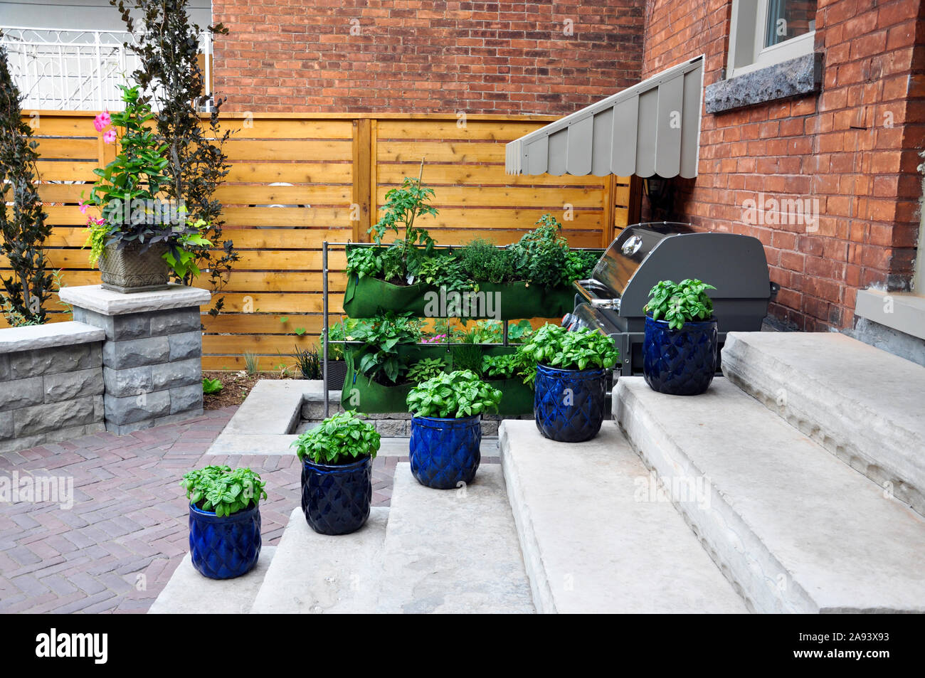 Moderne und traditionelle Elemente, diese schönen kleinen städtischen Garten verfügt über einen Sitz an der Wand, Terrasse, Luxus und Schuppen. Stockfoto