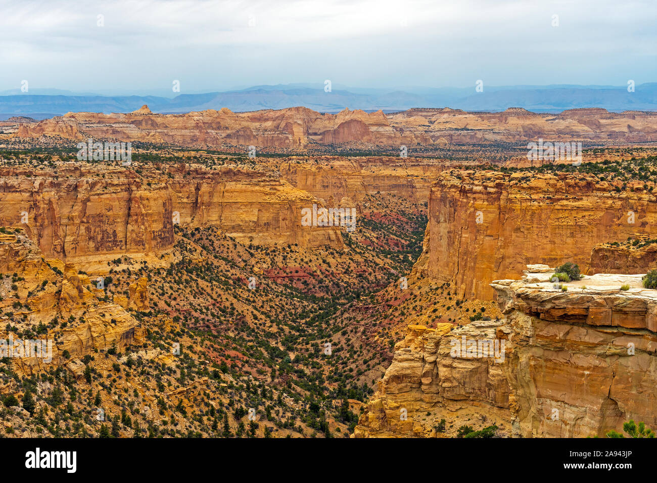Bunte Canyon an einem bewölkten Tag im östlichen Utah Stockfoto