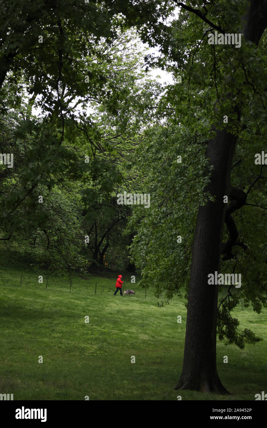 Frau das Tragen der roten Jacke Spaziergänge mit ihrem Hund in Grün auf den Central Park. Stockfoto
