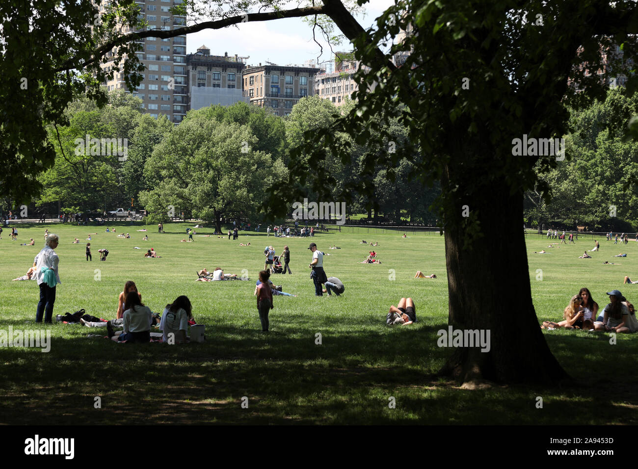 Die Menschen in der Mittagssonne in Schafe Wiese im New Yorker Central Park entspannen Stockfoto