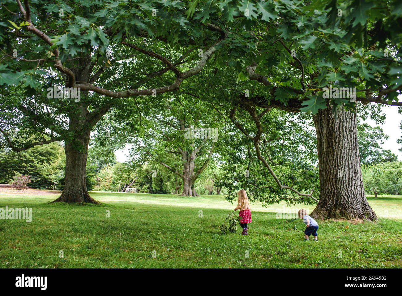 Zwei Kinder gehen auf einem Hügel unter einigen Bäumen. Stockfoto