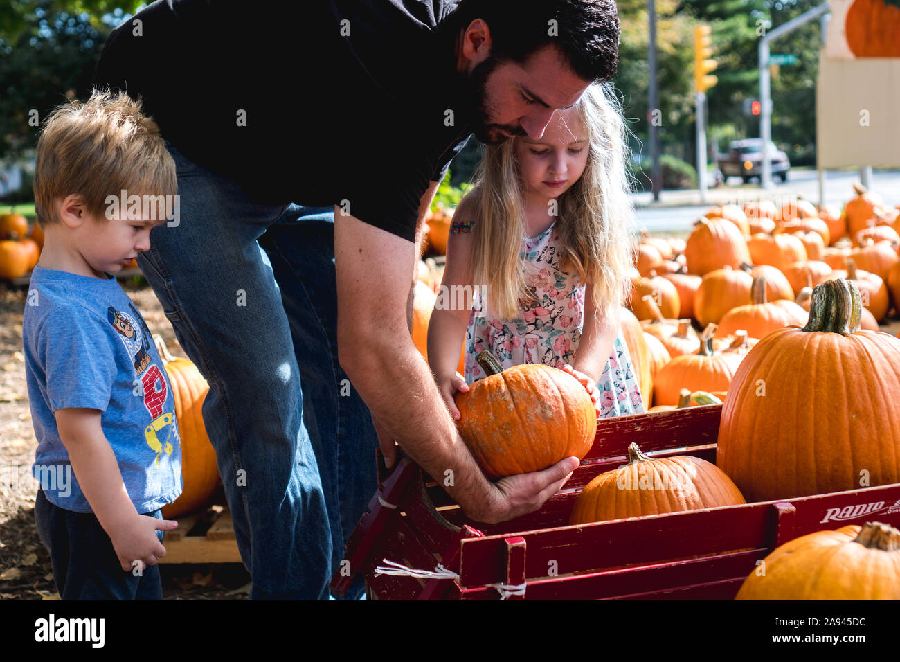 Ein Vater mit seinen Kindern Kürbisse wählen. Stockfoto