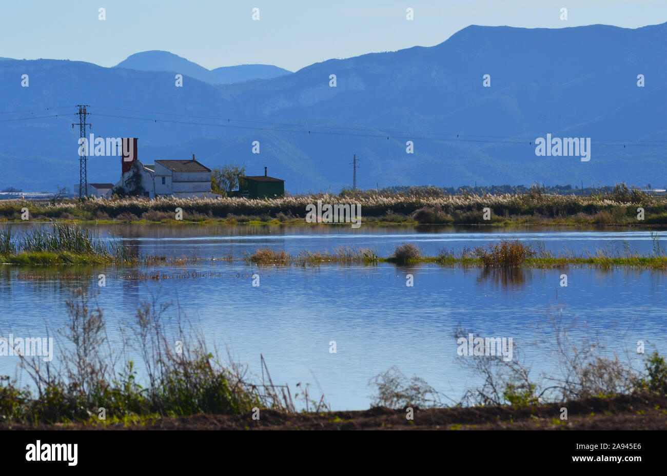 Naturpark Albufera Park, ein Feuchtgebiet von internationaler Bedeutung in der Region Valencia, Spanien Stockfoto