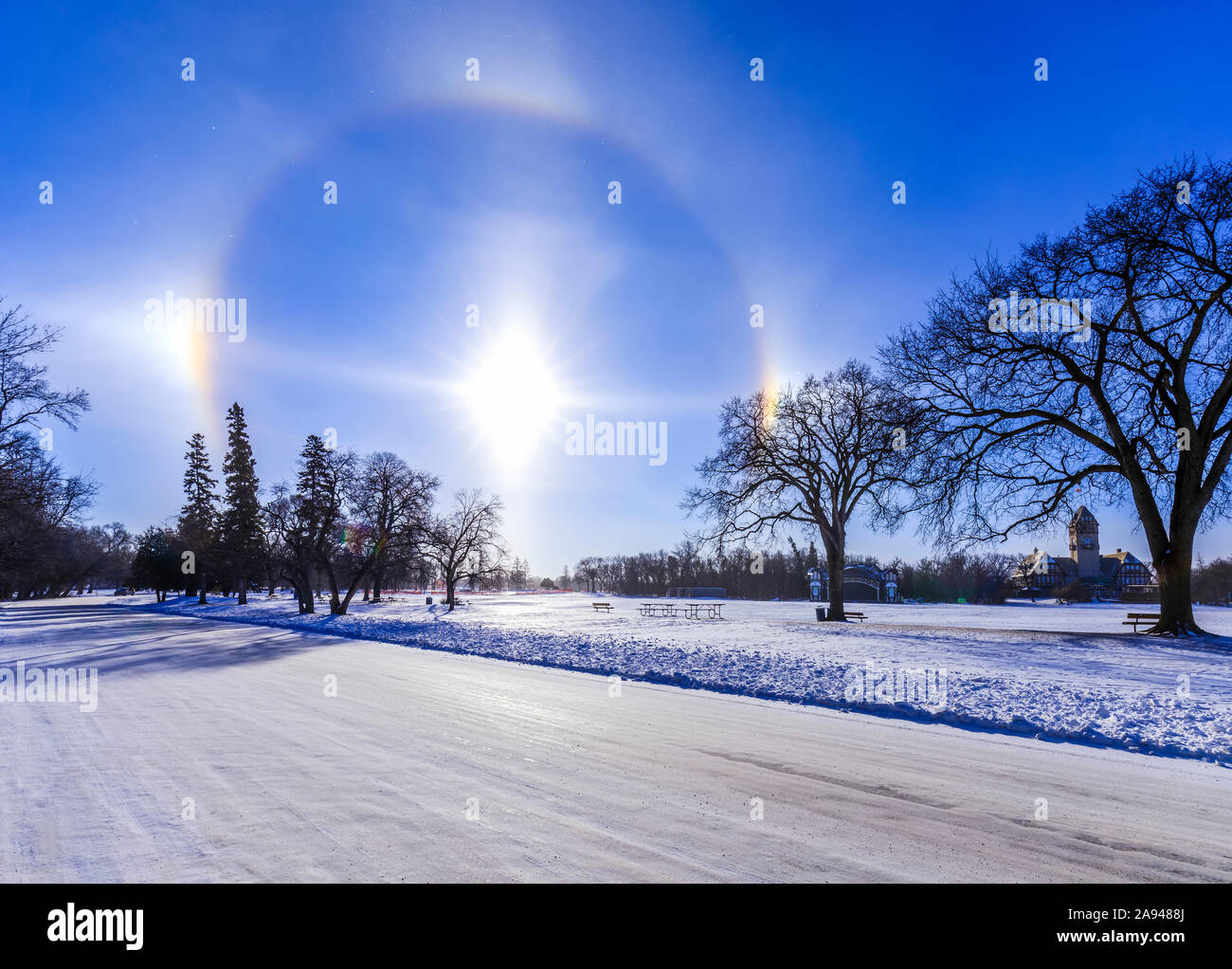 Sundogs und Solar Halo, Assiniboine Park; Winnipeg, Manitoba, Kanada Stockfoto