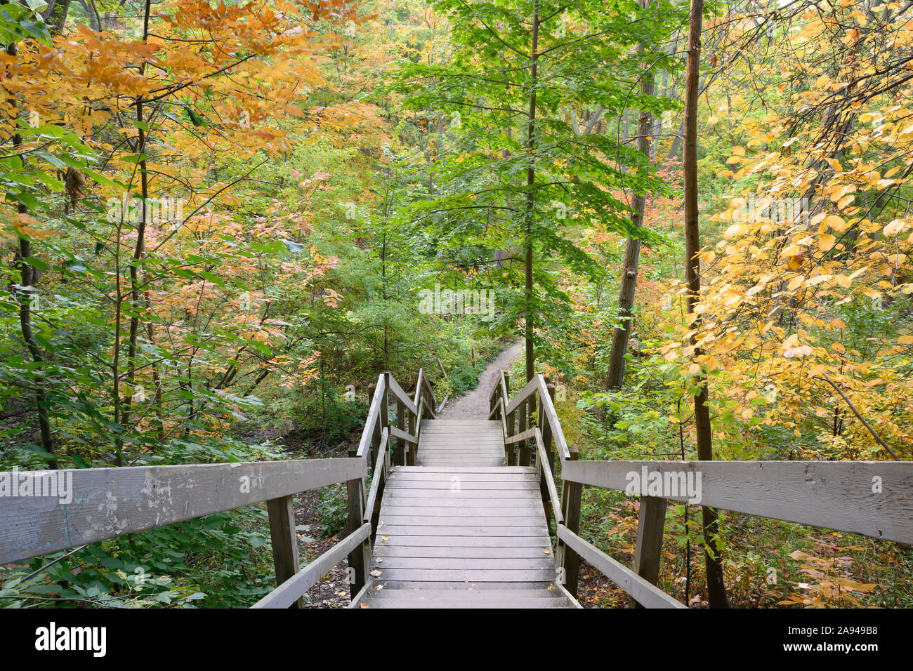 Eine Treppe in Glen Stewart Schlucht, durch die Farben des Herbstes akzentuiert, im Osten Strände Gemeinschaft von Toronto, Kanada. Stockfoto