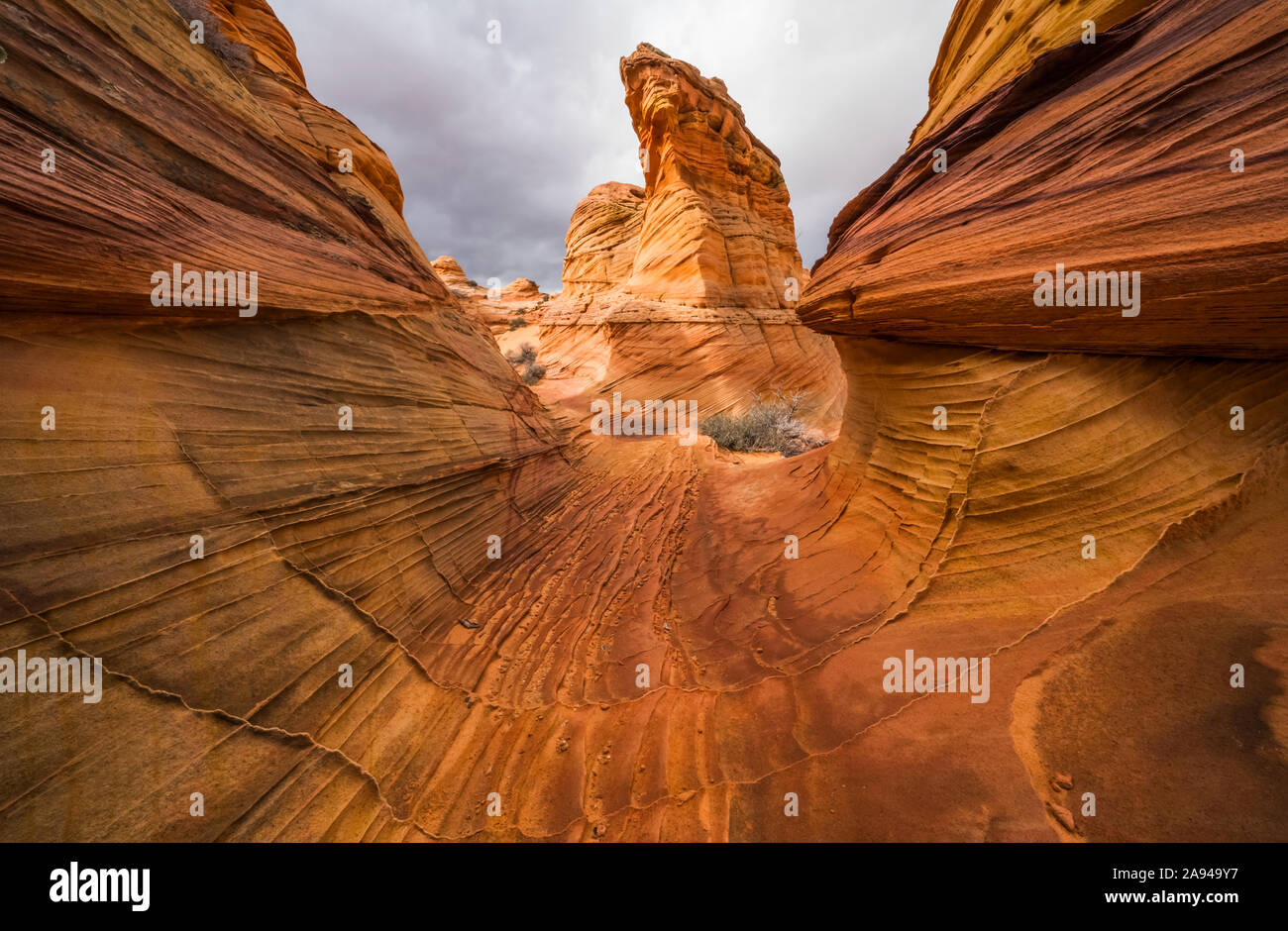 Die erstaunlichen Sandstein- und Felsformationen von South Coyote Butte; Arizona, Vereinigte Staaten von Amerika Stockfoto