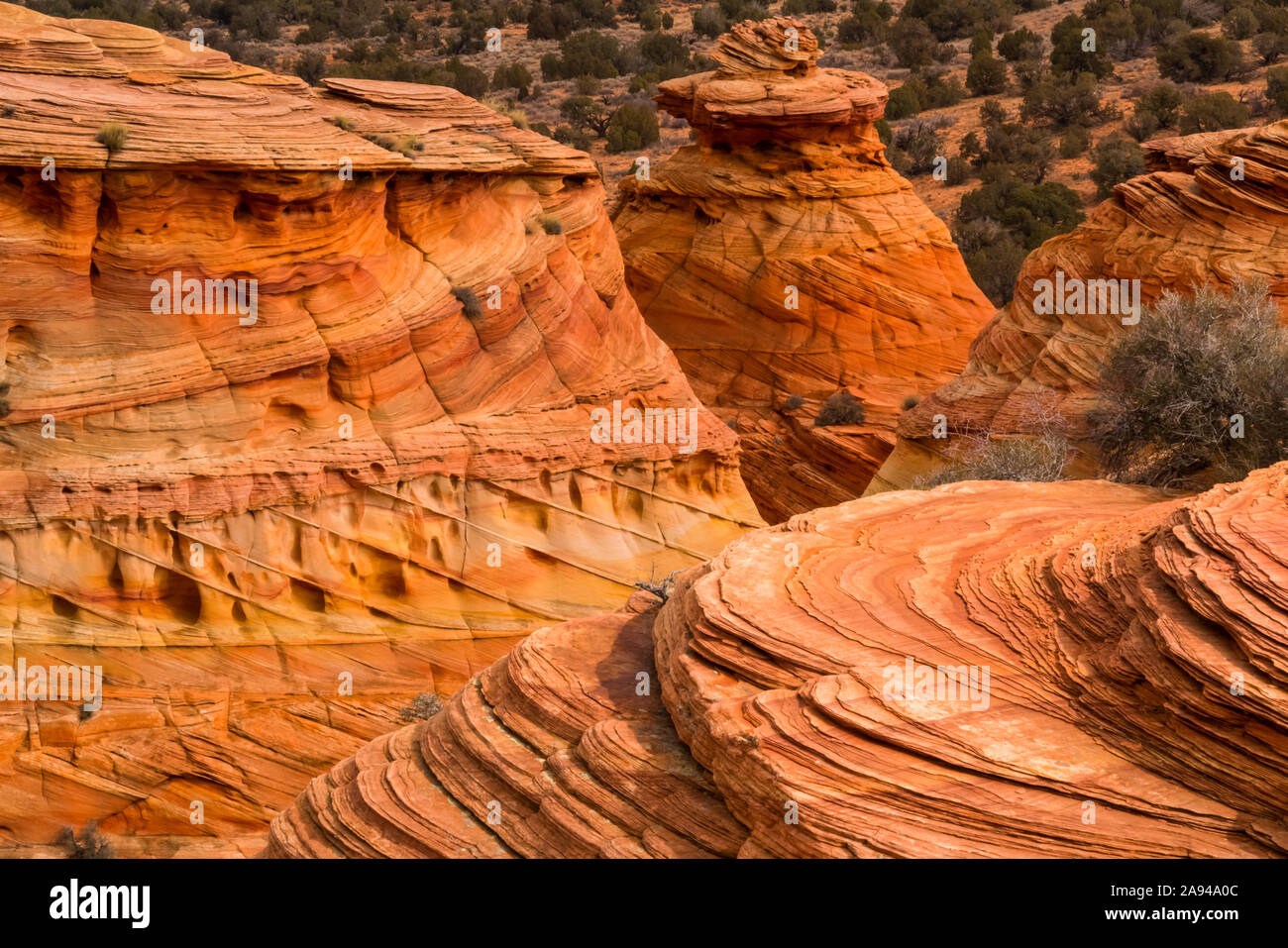 Die erstaunlichen Sandstein- und Felsformationen von South Coyote Butte; Arizona, Vereinigte Staaten von Amerika Stockfoto