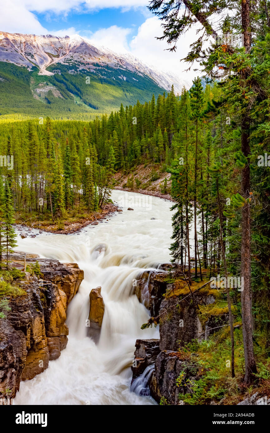 Sunwapta Falls, Sunwapta River, Jasper National Park; Alberta, Kanada Stockfoto