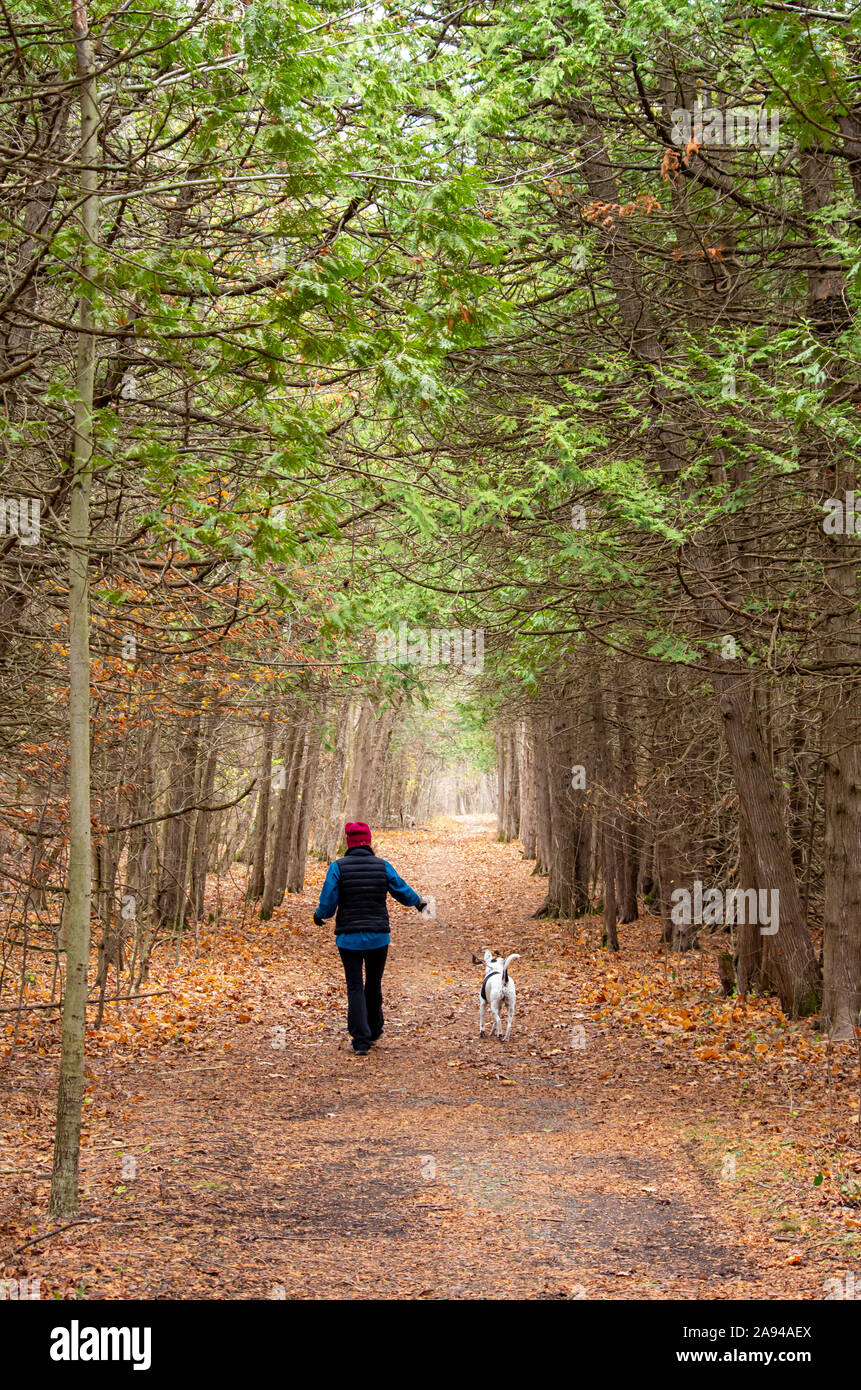 Frau wandern ein Hund auf einem Wilderness Trail in den späten Herbst Stockfoto