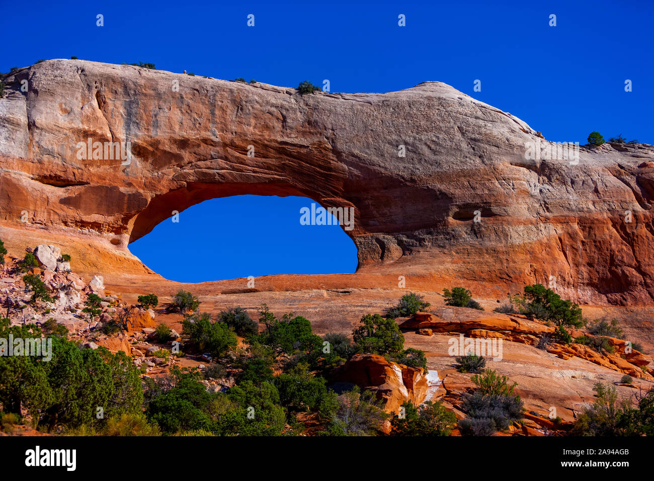 Natürliche Bogenbildung, Arches National Park; Utah, Vereinigte Staaten von Amerika Stockfoto