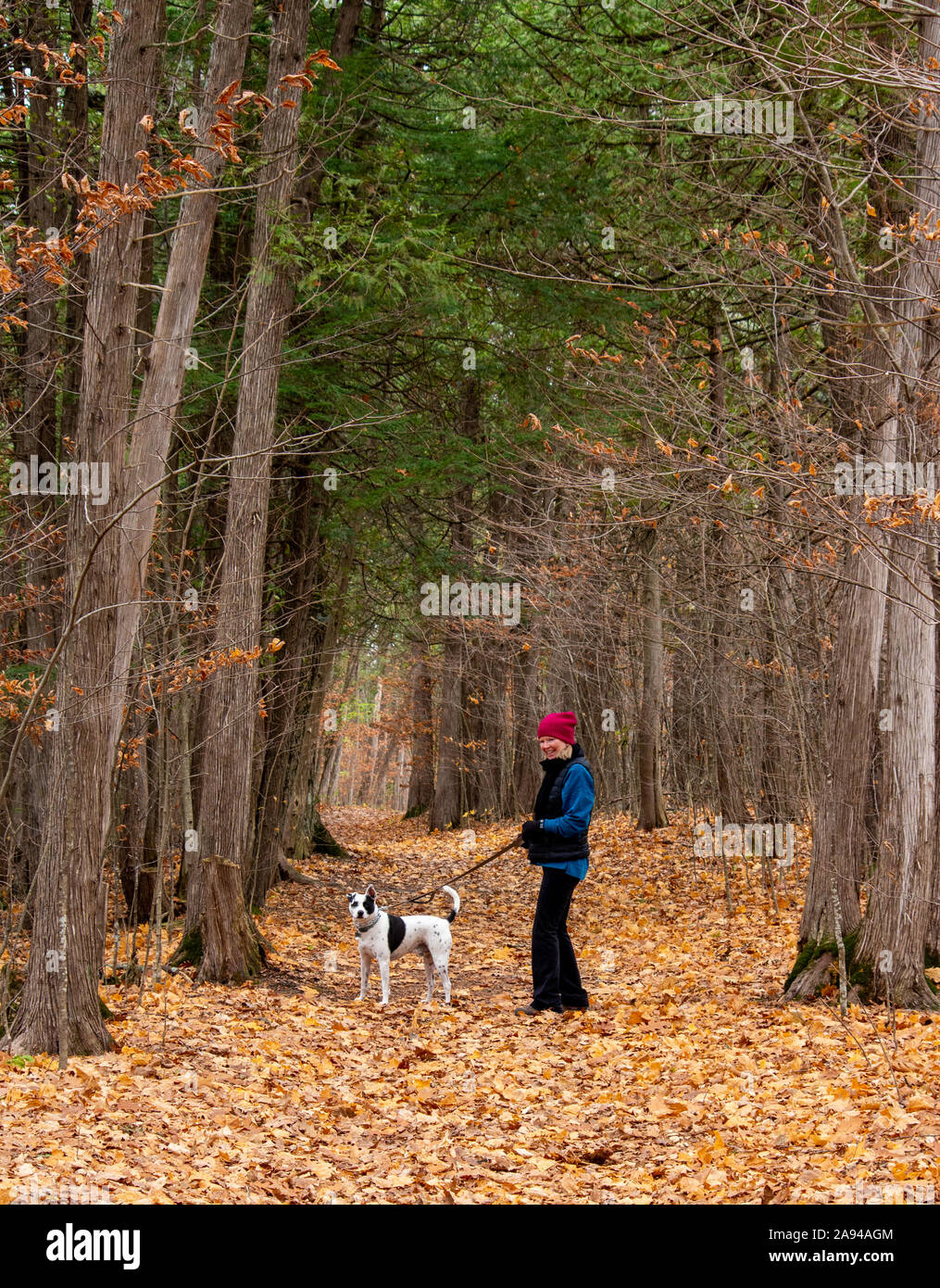 Frau wandern ein Hund auf einem Wilderness Trail in den späten Herbst Stockfoto