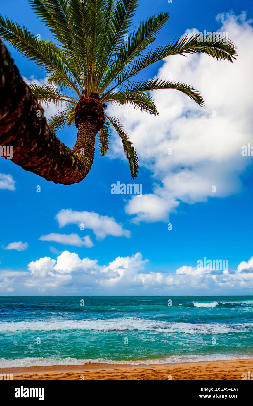 Tropischer Blick auf den Pazifischen Ozean vom Waikiki Beach; Honolulu, Oahu, Hawaii, Vereinigte Staaten von Amerika Stockfoto