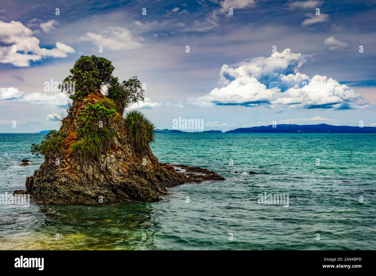 Felsformation mit Bäumen vor der Küste der Coromandel Peninsula; Nordinsel, Neuseeland Stockfoto