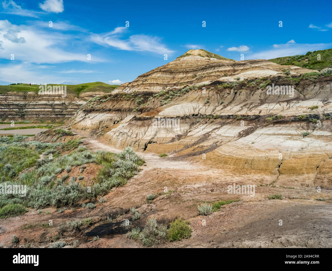 Blick von einer 117 Meter langen Hängebrücke über den Red Deer River, Star Mine Suspension Bridge; Drumheller, Alberta, Kanada Stockfoto