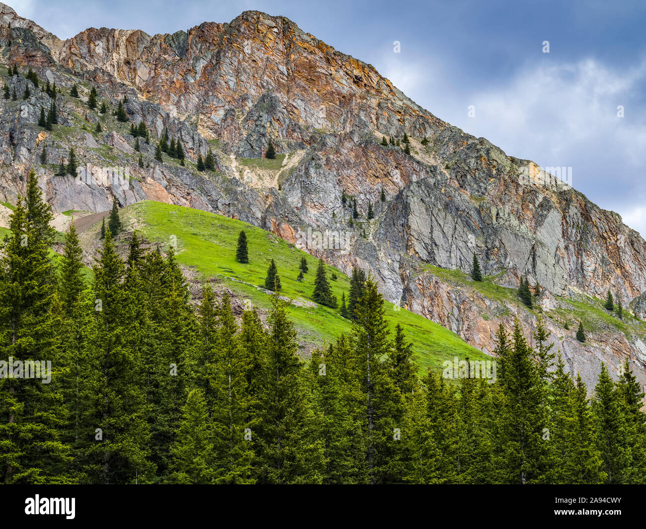Zerklüftete Rocky Mountains und Wald in Kananaskis Country entlang Bighorn Highway und Kananaskis Trail, Peter Lougheed Provincial Park Stockfoto