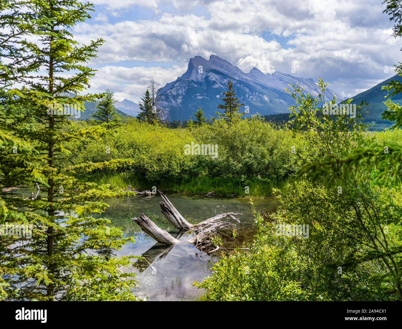 Vermillion Lakes in den Rocky Mountains im Banff National Park; Improvement District No. 9, Alberta, Kanada Stockfoto