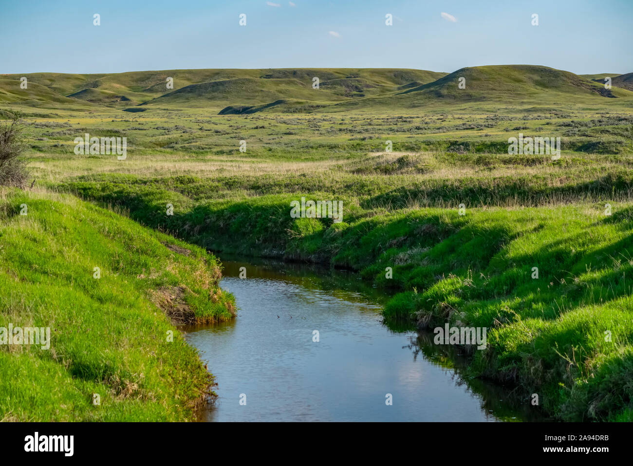 Üppiges grünes Gras auf sanften Hügeln und ein ruhiger Bach im Grasslands National Park; Val Marie, Saskatchewan, Kanada Stockfoto