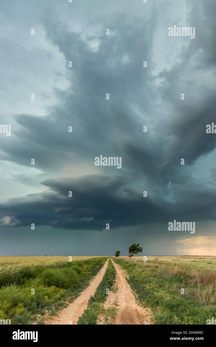 Supercell über den Prärien und einer unbefestigten Straße, mit Sonnenlicht beleuchtet den dramatischen Himmel; Tulsa, Oklahoma, Vereinigte Staaten von Amerika Stockfoto