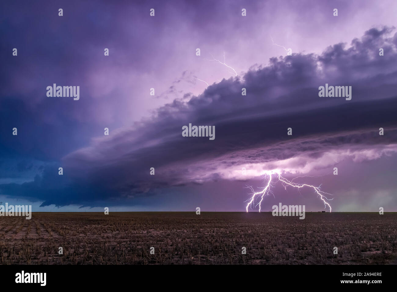Dramatische Sturmwolken mit gezackten Blitzen über Ackerland; Guymon, Oklahoma, Vereinigte Staaten von Amerika Stockfoto