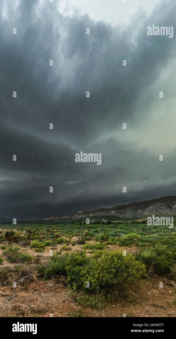 Dramatische dunkle Sturmwolken über Buschland; Marathon, Texas, Vereinigte Staaten von Amerika Stockfoto