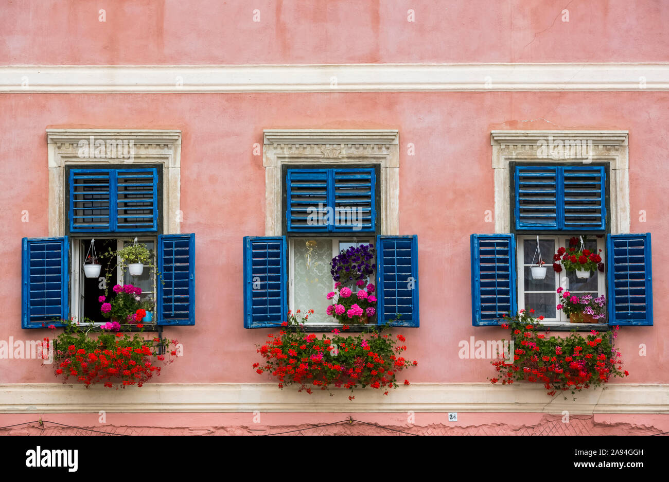 Blumen schmücken Wohnfenster mit blauen Fensterläden auf einem Gebäude mit rosa Fassade; Sibiu, Siebenbürgen Region, Rumänien Stockfoto