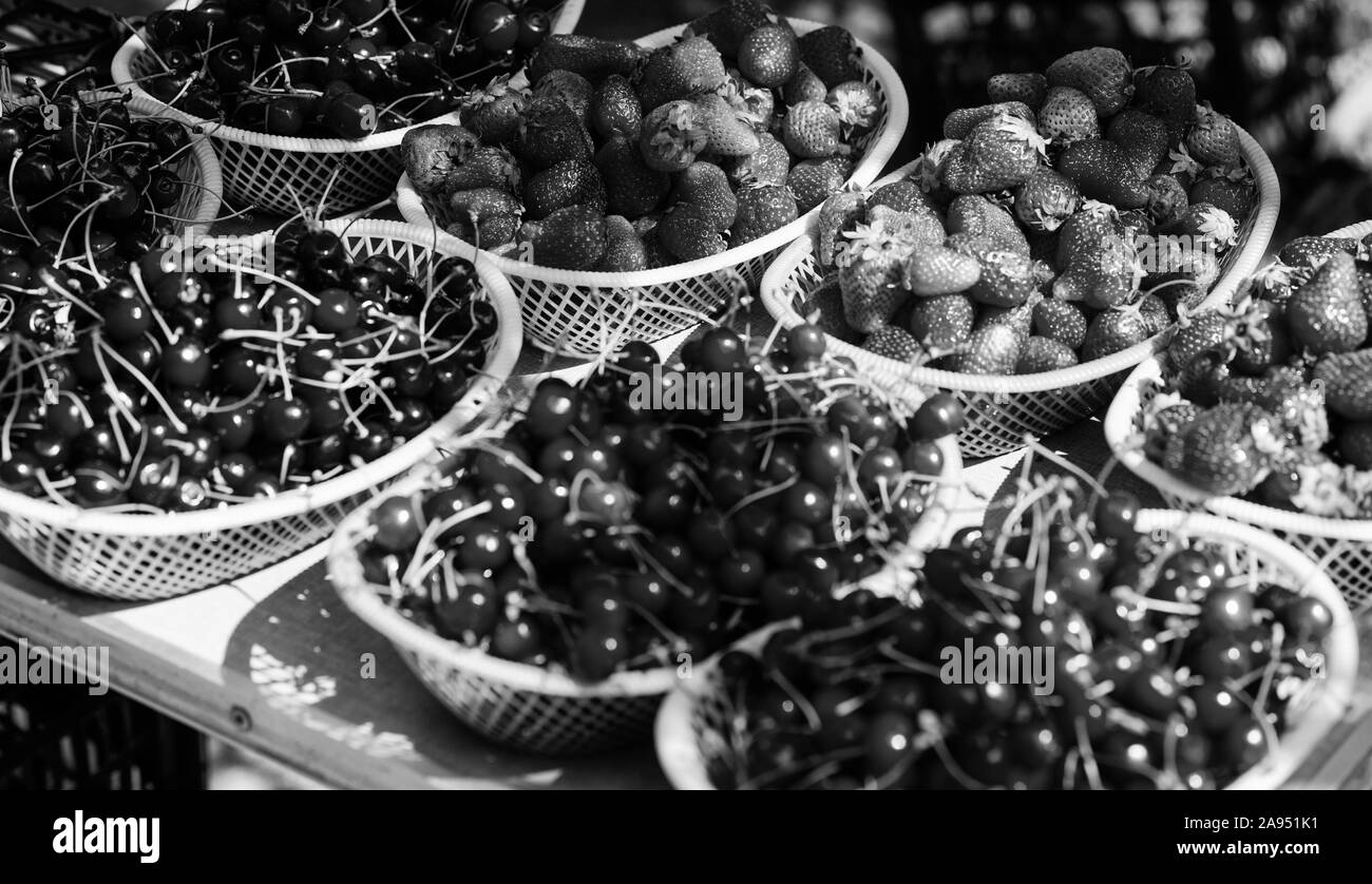 Kirschen und Erdbeeren in Körbe für verkaufen. Bauernhof Markt. Sommer Ernte. Rote reife Beeren. Saftige Beeren aus dem Garten. Kaufen Sie frische Früchte. Organische ber Stockfoto