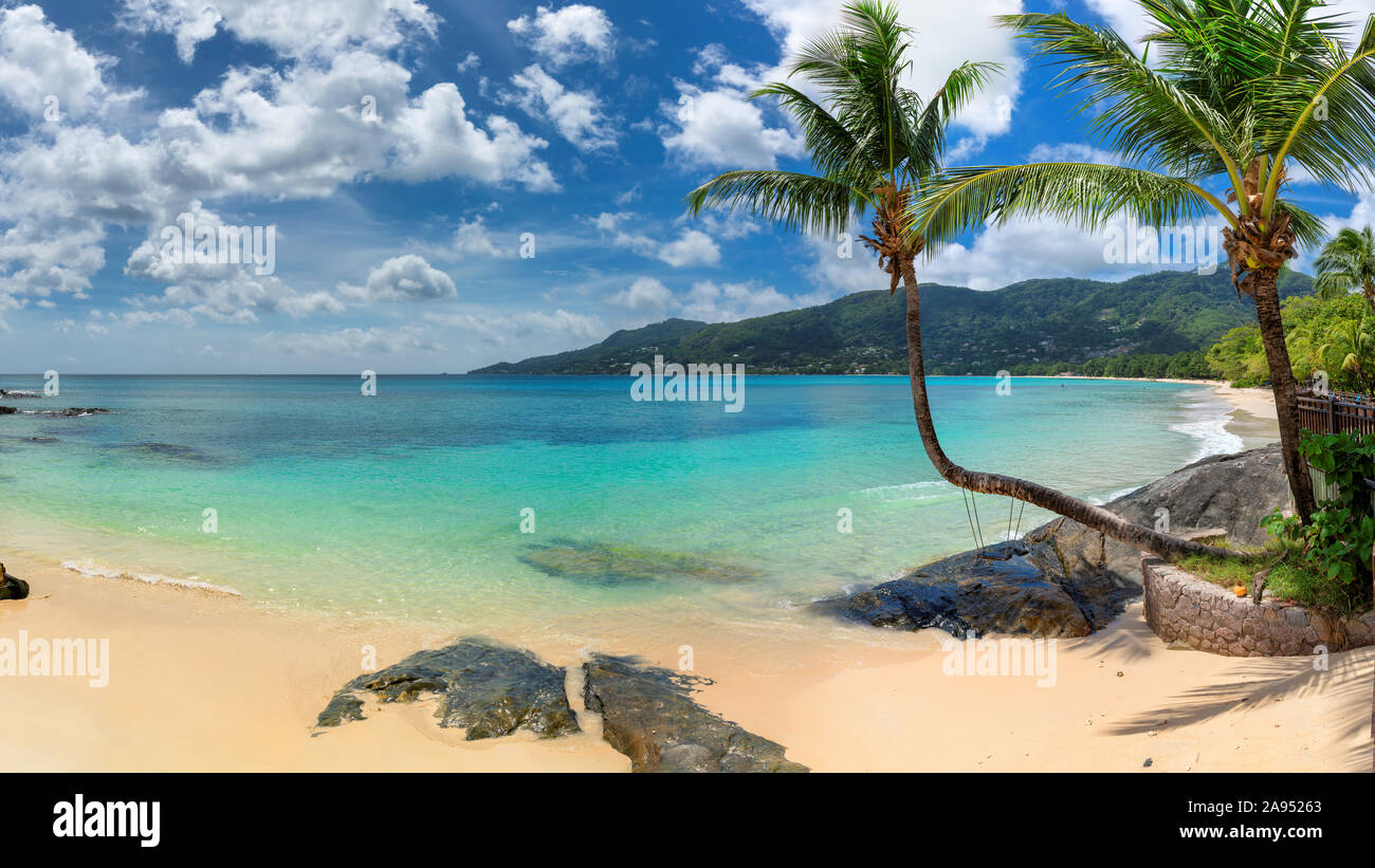 Kokospalmen am tropischen Strand Stockfoto