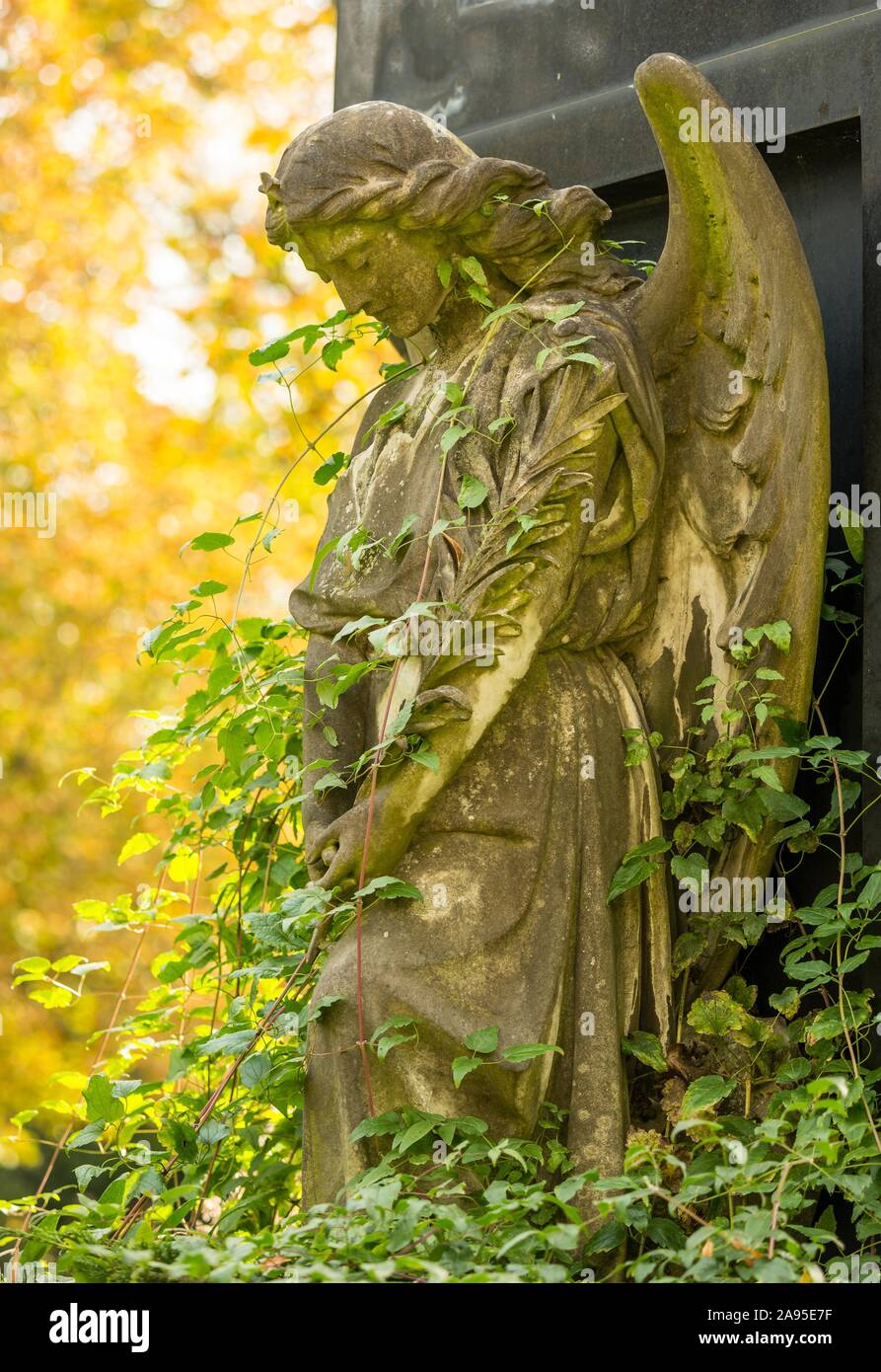 Weibliche Engel Abbildung, beten, mit Stern auf der Krone, mit Kletterpflanzen ranken, Herbst Licht, historische Grab am Friedhof, Berlin-Kreuzberg Stockfoto