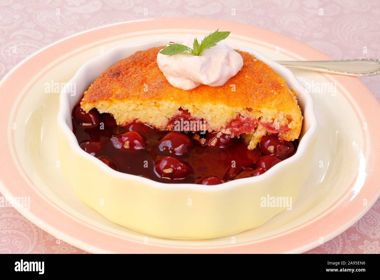 Schwäbische Dessert, Cherry smiley, süß Biskuit mit Kirschen, Sahne, Backform, Platte, Deutschland Stockfoto