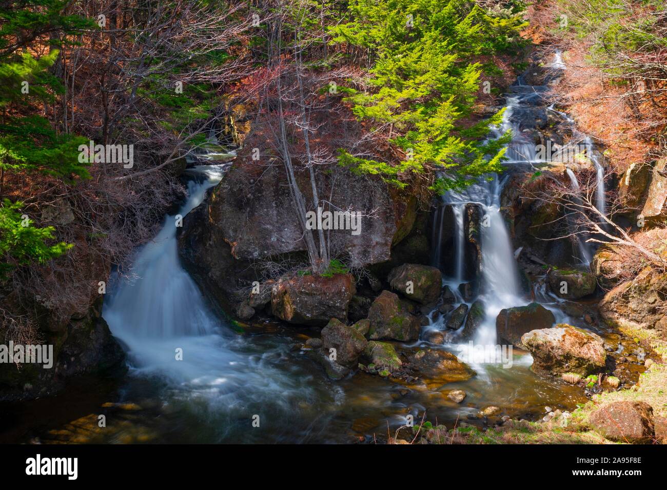 Ryuzu fällt, Wasserfall, Fluss Yu, Nikko National Park, Nikko, Präfektur Tochigi, Japan Stockfoto